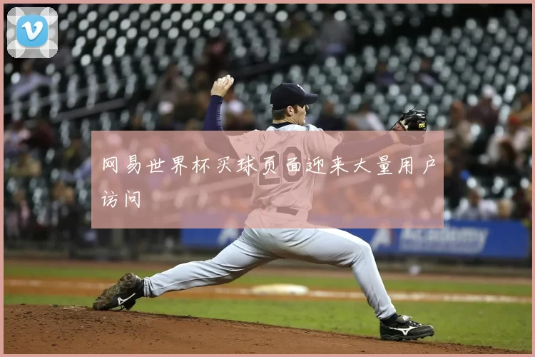 网易世界杯买球页面迎来大量用户访问