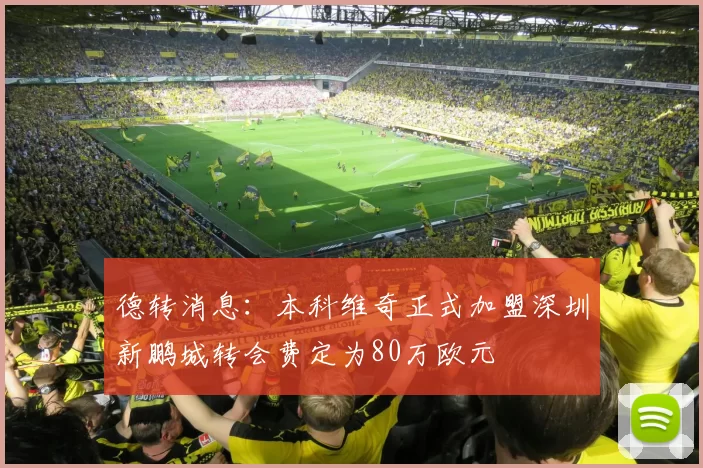 德转消息:本科维奇正式加盟深圳新鹏城转会费定为80万欧元