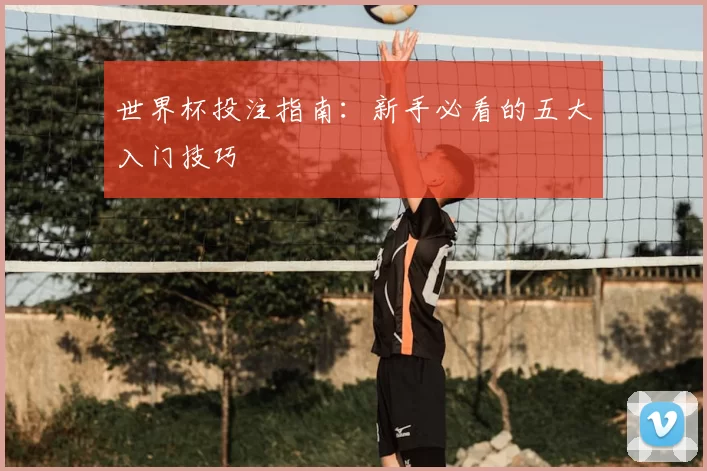 世界杯投注指南:新手必看的五大入门技巧