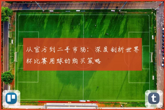 从官方到二手市场:深度剖析世界杯比赛用球的购买策略