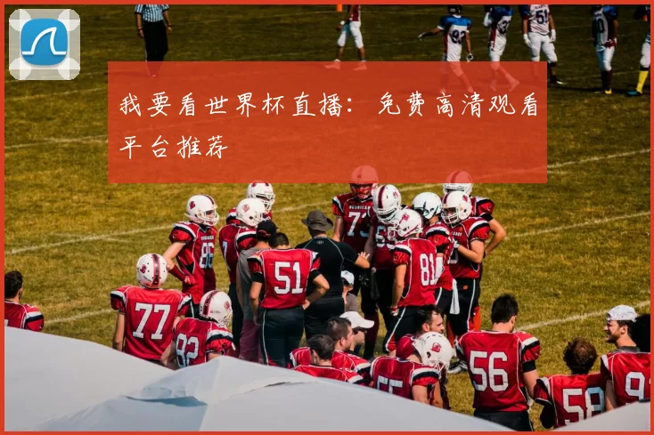 我要看世界杯直播:免费高清观看平台推荐