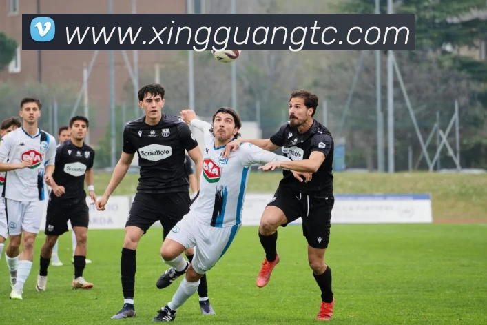 对战数据统计